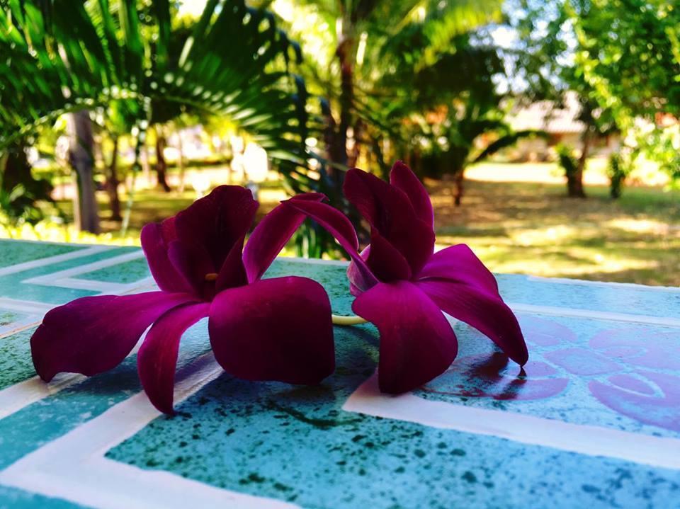 Lanta Queen Resort Ko Lanta Екстериор снимка